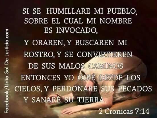 NECESITAMOS  SANAR NUESTRA  TIERRA🙏🙏